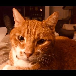 Meet your Posher, Robert